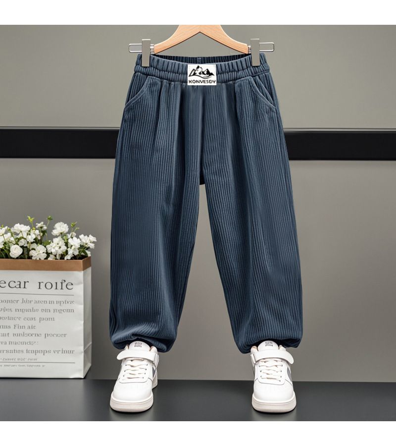 Kid's Clothing Boys And Girls Plus Velvet Thickened Autumn And Winter Outer Wear Pants With Leggings For Small And Medium Sized Corduroy Carrot Pants_viptrois.com