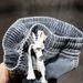 Large Size Men's Clothing Summer New Retro Jeans Men's Loose Plus Size Elastic Thin Drawstring Nine-point Pants Men's Fat_viptrois.com