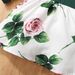 Independent Station Exclusive New Products Baby Children's Printed Dress_viptrois.com