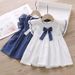 Toddler Girls Clothing Version Cute Skirt Baby Girl Summer Sweet Princess Dress_viptrois.com