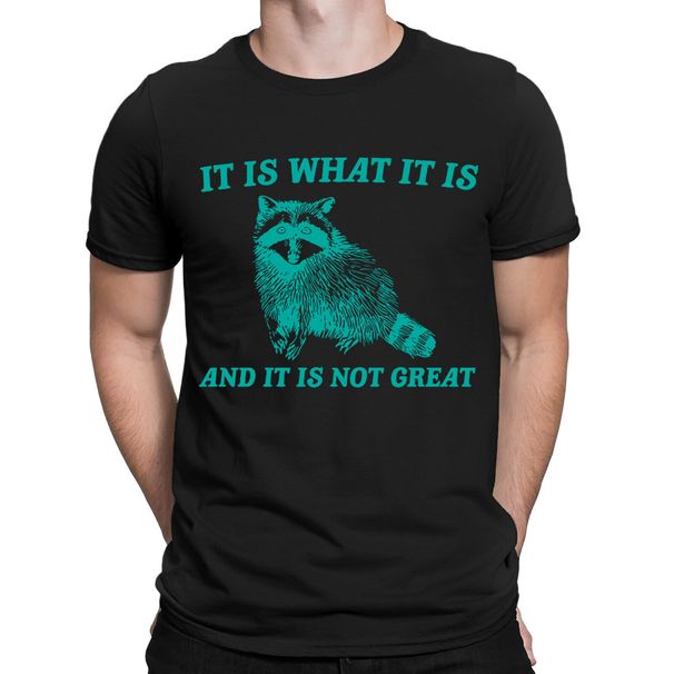 It Is What Funny Vintage Drawing Raccoon Meme Mood Mens Womens T-Shirt Mens Womens Tees Tops Top #NED_viptrois.com