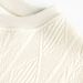 Nordmann Jacquard Texture Crew Neck Sweatshirt For Men, Autumn 420g Heavyweight Vintage Loose Fit Trendy Pullover Jacket Top_viptrois.com