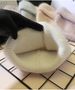 New Double Fold Flanged Rabbit Fur Hat Autumn And Winter Wool Hat Female Internet Celebrity M Standard Knitted Hat Winter Warm Ear Protection_viptrois.com