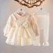 Children's clothing Autumn girls' long sleeve fake suspenders dress two-piece baby girls' autumn puffy sleeves_viptrois.com