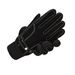 Baishi Tiancheng Men's Pigskin Gloves Touch Screen Winter Outdoor Cycling Plus Velvet Thickened Warm Motorcycle Gloves Women_viptrois.com