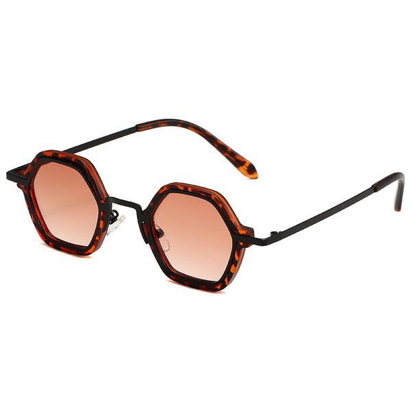 Punk Hip Hop Sunglasses - Small Polygonal Metal Frame (Unisex Fashion Shades)_viptrois.com
