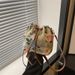 Women's Shoulder Bags Ethnic-style Handbag For Women, Fashionable Retro Hand-carried Bucket Bag, Personalized Casual Pocket For Going Out_viptrois.com
