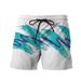 Men's Beach Pants Shorts Bird's Eye Fabric Quick Dry 3D Printed Casual Shorts_viptrois.com