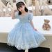 Girls Elsa Princess Dress 2024 Summer New Girls Dress Elsa Princess Mesh Children's Day Performance Skirt Trendy_viptrois.com