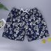 Summer New Arrival Men's 3D Printed Beach Shorts Quick Drying Casual Sports Beach Pants Wholesale 2025_viptrois.com