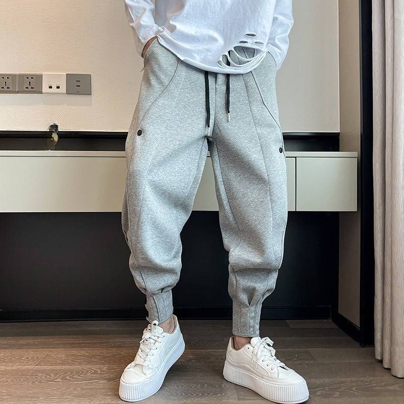 Men's Clothing Four Seasons Thickened Regular Sports Pants Men's Handsome Trendy Design Harem Pants Plus Velvet Casual Cuffed Sweatpants_viptrois.com