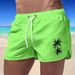 Men's Clothing Beach Shorts Men Large Pants Outerwear Men's Large Shorts Men's Beach Shorts Beach Shorts_viptrois.com