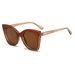 Women's Colorblock Cat Eye Sunglasses - High-End Contrast Frame (Trendy European & American Style, Oversized Retro Design)_viptrois.com