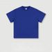 2025 Men's Spring And Summer 305g Heavyweight T-shirt, American-style Pure Cotton Fashion Brand, Pure Color Short-sleeved Shirt_viptrois.com