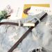 Women's Belts smooth buckles, fashionable and versatile, plate buckles, thin belts, dress clothing, decorative pants belts, dropshipping_viptrois.com
