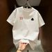 Men's 100% Cotton Plus Size T-Shirt Short Sleeve Summer Trendy Loose Top American Style For Men And Women_viptrois.com