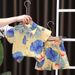Fashionable Children Fashion Casual Lapel Single Breasted Short Sleeved Shirt Shorts Suit Boy Baby New Two Piece Suit_viptrois.com