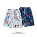Men's Thin Beach Pants Hawaiian Quick-Drying Shorts _viptrois.com