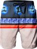 Unbeatable Quality Hawaiian Beach Men's Shorts, Sports Pants, Quick Drying 3D Digital Print Pattern_viptrois.com