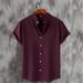 Cross-border Foreign Trade Summer New Casual Fashion Solid Color Stand-up Collar Short-sleeve Men's Shirt_viptrois.com