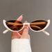 New Cat Eye Sunglasses European And American Fashion Internet Celebrity Same Style INS Glasses Simple And Avant Garde Sunglasses_viptrois.com
