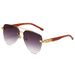 DOUBLE HUNT - Retro Leopard Sunglasses (Dual-Bridge Design, Fashion-Forward Shades, Hot Seller)_viptrois.com