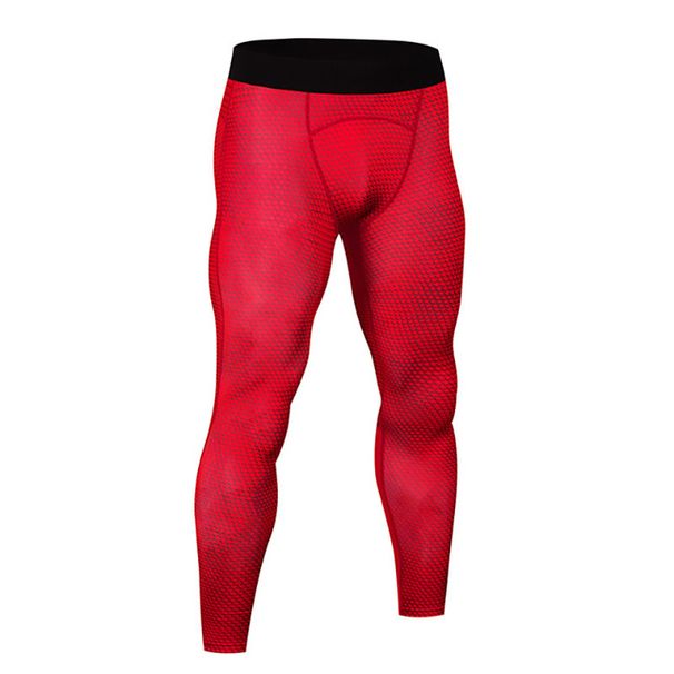 Men's Clothing Tight Quick Drying Printing Training Fitness Running Sweat Elastic Compression Snake Pattern Snake Scale Trousers_viptrois.com