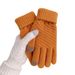 Winter new pineapple style cashmere full finger touch screen knitted warm jacquard fashion plus velvet thickened wool gloves_viptrois.com
