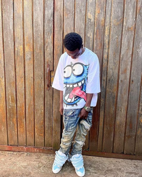 Men's Clothing Niche High Street Casual Short Sleeved Loose Unisex Printed T Shirts For Summer New Short Sleeved_viptrois.com