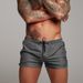 Men's Short Pants, Beach Pants, Fashionable, European Style, Sporty, Quick-drying, Running Pants For Men, Casual And Versatile Summer Casual Pants_viptrois.com