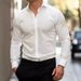 Men's Clothing Men's Business Lapel Shirt Solid Color Long Sleeved Casual Shirt Non Iron Suit Shirt_viptrois.com