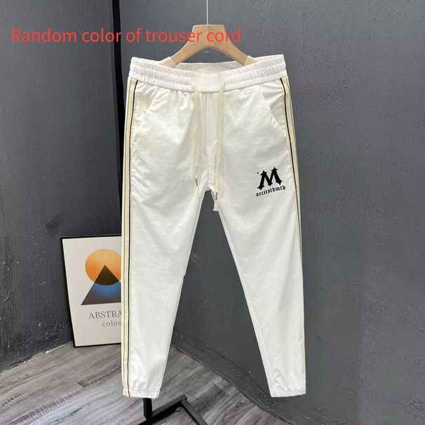 Men's Ice Silk Casual Pants Summer Thin Versatile Harem Sports Loose Fit Jogger Cargo Pants New Style_viptrois.com