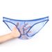 Pulse Comrade Men's Underwear Export European And American Style See-through Fine Mesh Pouch Low Waist Briefs Plus Size C-034_viptrois.com