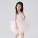 Kids Clothing One Piece Ballet Princess Skirt Dance Practice Clothes Performance Clothes Gauze Skirt Dance Costume_viptrois.com