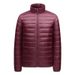 Men's Lightweight Short Down Jacket With 90% White Duck Down, Slim Fit Windproof Coat For Urban & Casual Wear_viptrois.com