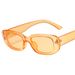 Men's Sunglasses Small Frame Sunglasses - Trendy Unisex Style For Men & Women Fashion Trends Hot-selling_viptrois.com