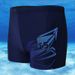 Banfi men's boxer swimming trunks/men's swimwear/fashion printed pattern four-corner hot spring nylon swimming trunks_viptrois.com