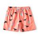 Men's Shorts Triangle Net Inside Dinosaur Print Beach Pants_viptrois.com