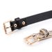 Factory direct new vintage thin belt snake pattern ladies belt jeans dress decorative small Belt women_viptrois.com