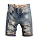 Lined Fabric Men Multi-Ripped Five-Point Beggar Pants Four Seasons Trendy Brand Personality Men's Jeans_viptrois.com