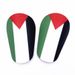 Palestine Flag Mini Shin Guards - Small Football Protective Gear For Training & Matches (8x5cm, 10x6cm, 12x8cm)_viptrois.com