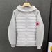 Men's Clothing Winter New Men's Trendy Lightweight Loose Fitting Casual Round Logo Hooded Cotton Jacket_viptrois.com
