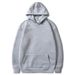 Casual Hooded Sweatshirt, Autumn Loose And Plush Sweatshirt_viptrois.com