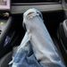 2025 New Spring/Summer American Washed Ripped Jeans Straight Leg Fit, Slim And Slightly Flared Floor Length Pants_viptrois.com