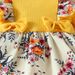 Baby clothing baby girl short sleeve triangle bodysuit+skirt Baby Lace Sweet Summer Triangle Bodysuit Flower Dress + Hoodie_viptrois.com