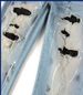 Men's Clothing jeans ripped men's cat whisker hot diamond graffiti jeans youth slim fit skinny pants_viptrois.com