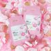 FENYI Sakura 4 Piece Skin Care Product Set Hydrating And Moisturizing 1 Piece 2g Trial Pack Skin Care_viptrois.com