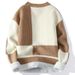 Pure Foreign Trade Winter New Pullover Round Neck Color Block Long Sleeve Fleece Lined Thickened Sweater Trendy Men's Warm_viptrois.com