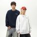 Nordmann Heavyweight Texture Crew Neck Sweatshirt For Men And Women Couples Autumn Style Heavy Embroidery Color Block Loose_viptrois.com