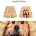Men's Clothing Golden Retriever Shorts Funny Men's Beach Pants Cartoon Printing Breathable Home Wear Fashion Couple Dog Head Shorts Trendy_viptrois.com